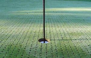 grey course maintenance